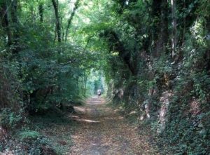 Ciclopista Valstagna intervista sindaco pove Orio Mocellin