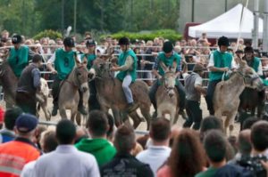 palio contrade romano d'ezzelino